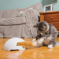Produktbild von PetSafe Fox Den Interaktives Elektrisches Katzenspielzeug mit Plüsch Fuchsschwanz Weiß - 1 Stk.