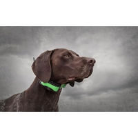 Produktbild von PetSafe GPS-Tracker SportDOG TEK 1.5 wasserdichtes Ortungssystem für Hunde in Grün mit Handgerät und Empfängerhalsband