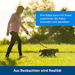 PetSafe Katzengeschirr aus Nylon mit elastischer Bungee-Leine Rot Größe S – Bild 1 von 7