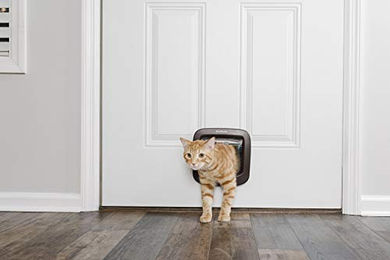 PetSafe Katzenklappe aus Kunststoff in Braun mit manueller Verriegelung – Bild 1 von 11