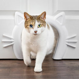 PetSafe Katzenklappe aus Kunststoff in Weiß – Bild 1 von 5