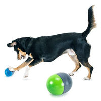 Produktbild von PetSafe Ricochet Interaktives Elektronisches Hundespielzeug aus Kunststoff mit Tonsignal 2er Pack