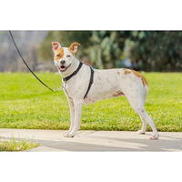Produktbild von PetSafe Sicherheitsgeschirr für Hunde aus Neopren in Schwarz Größe M - 1 Stk.