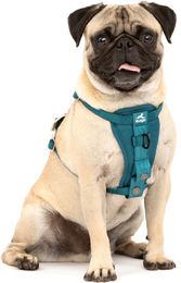 PetSafe Sicherheitsgeschirr für Hunde Mini XS in Blau und Türkis mit Edelstahl-Elementen – Bild 1 von 10