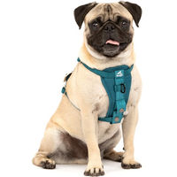 Produktbild von PetSafe Sicherheitsgeschirr für Hunde Mini XS in Blau und Türkis mit Edelstahl-Elementen