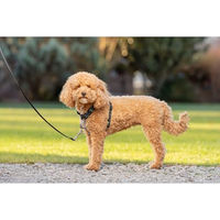 Produktbild von PetSafe Sicherheitsgeschirr für kleine Hunde aus Neopren Schwarz Größe S - 1 Stk.
