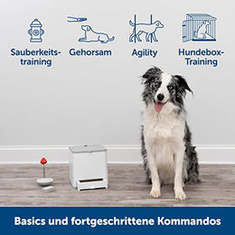 PetSafe Teach & Treat Ferngesteuerter Belohnungstrainer für Hunde in Grau - 1 Stk. – Bild 1 von 7