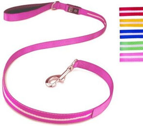 Petsation Hundeleine aus Nylon in Rosa leuchtend – Bild 1 von 2
