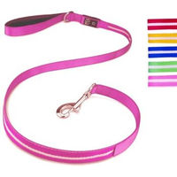 Produktbild von Petsation Hundeleine aus Nylon in Rosa leuchtend