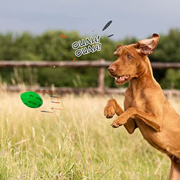 Petsation Kauspielzeug Ball aus Naturkautschuk für mittlere und große Hunde Grün – Bild 1 von 7