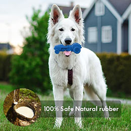 Petsation Kauspielzeug Rakete aus Naturkautschuk Blau für Hunde mit Quietschfunktion zur Zahnpflege – Bild 1 von 9