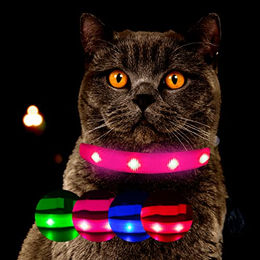 Petsation LED Katzenhalsband Rosa Größe S mit Akku - 1 Stk. – Bild 1 von 12