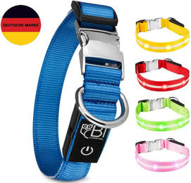 Petsation LED Leuchthalsband für Hunde Blau Größe L – Bild 1 von 9