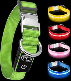 Petsation LED Leuchthalsband für Hunde Grün Größe M (38-50 cm) – Bild 1 von 5