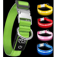 Produktbild von Petsation LED Leuchthalsband für Hunde Grün Größe M (38-50 cm)