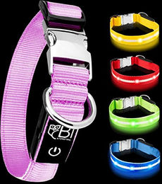 Petsation LED Leuchthalsband für Hunde Pink Größe S (28-40 cm) – Bild 1 von 5