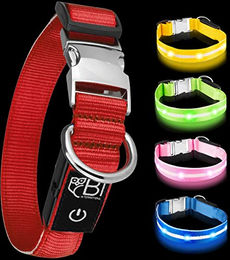 Petsation LED Leuchthalsband für Hunde Rot Größe L 48-60 cm – Bild 1 von 5