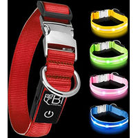 Produktbild von Petsation LED Leuchthalsband für Hunde Rot Größe M - 1 Stk.