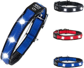 Petsation LED Leuchthalsband für Hunde Blau Größe L – Bild 1 von 8