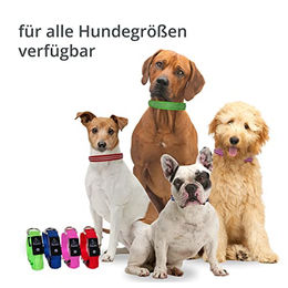 Petsation LED Leuchthalsband für Hunde Blau Größe M 38-50 cm mit Metallverschluss - 1 Stk. – Bild 1 von 8