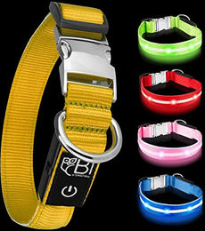 Petsation LED Leuchthalsband für Hunde Gelb Größe S – Bild 1 von 11