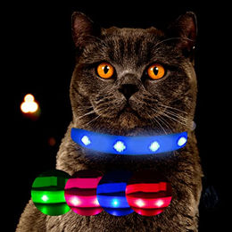 Petsation LED Leuchthalsband für Katzen Blau Größe S mit Akku – Bild 1 von 12