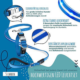 Petsation LED Leuchthalsband und Leuchtleine für Hunde Blau Größe M 38-50 cm mit Metallverschluss und Akku – Bild 1 von 4