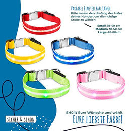 Petsation LED Leuchthalsband und Leuchtleine für Hunde wasserabweisend mit Akku Grün XS 24-35 cm – Bild 1 von 3