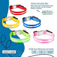 Produktbild von Petsation LED Leuchthalsband und Leuchtleine für Hunde wasserabweisend mit Akku Grün XS 24-35 cm