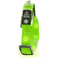 Produktbild von Petsation Leuchtendes Katzenhalsband Grün mit Akku für alle Altersstufen - 1 Stk.