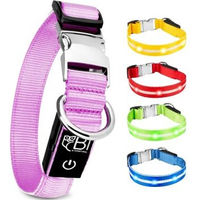 Produktbild von Petsation Leuchthalsband für Hunde aus Nylon in Rosa Größe L - 1 Stk.