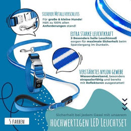 Produktbild von Petsation Leuchthalsband mit Leine aus Nylon in Gelb Größe S