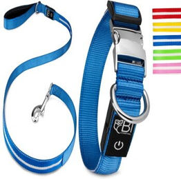 Petsation Leuchthalsband mit Leine Blau Größe L – Bild 1 von 1