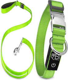 Petsation Leuchthalsband und Leuchtleine für Hunde mit LED, wasserdicht und wiederaufladbar, Grün, S (28-40 cm) – Bild 1 von 7