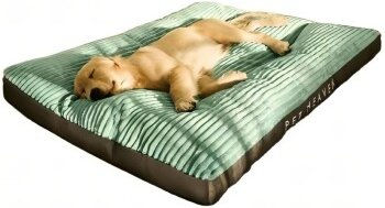Petsation Orthopädisches Hundebett Grün Größe M – Bild 1 von 3