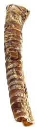 Produktbild von Petsnack Naturkaukartikel Luftröhre für Hunde 2,5 kg - 2,5 kg