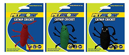 PetSport Katzenminze Plüschspielzeug Cricket Bunt – Bild 1 von 2