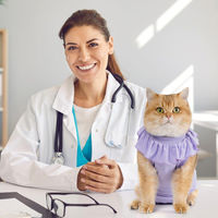 Produktbild von PetSpy Katzenbody Erholungsanzug aus Modal als Leckschutz für erwachsene Katzen in Lila Größe S