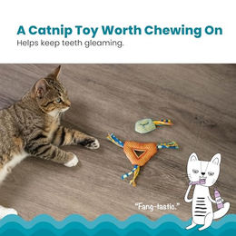 Petstages Catnip Dental Health Chews Zahnpflege Kauspielzeug für Katzen aus Polyester 2 Stück – Bild 1 von 7