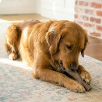 Produktbild von Petstages Hundekaustock Dogwood Stick aus Holz für Welpen und Hunde in Größe L Braun - 1 Stk.