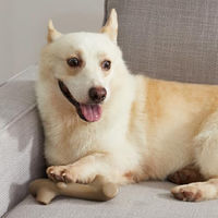Produktbild von Petstages Kauspielzeug aus Nylon für Hunde in Größe L mit Rindegeschmack - 1 Stk.