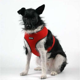 PetStar Soft- und Netz-Brustgeschirr für Hunde in Rot XL – Bild 1 von 2