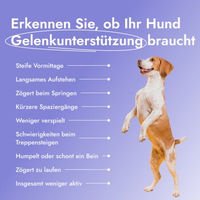 Produktbild von Petsy Labs Petstile Joint Saver Gelenk-Supplement für erwachsene Hunde mit Kollagen, Glucosamin und Grünlippmuschel 150 g