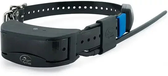 Produktbild von PetTec GPS-Tracker Lokalisierungshalsband für Hunde in Schwarz aus Kunststoff