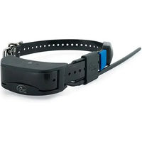 Produktbild von PetTec GPS-Tracker Lokalisierungshalsband für Hunde in Schwarz aus Kunststoff