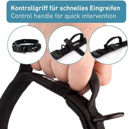 PetTec Hundehalsband und Schleppleine Set aus Neopren und Nylon, schwarz, Größe L, wasserabweisend und weich gepolstert – Bild 1 von 6