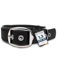 PetTec Hundehalsband wasserfest schwarz Größe S - 1 Stk. – Bild 1 von 8