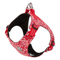 Produktbild von Pettimania Hundegeschirr Floral Poppy Rot aus Polyester Größe Mittel Brust 40-44 cm
