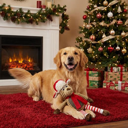 Pettimania Weihnachtshund Plüschspielzeug für Hunde in Rot und Bunt 32x38cm – Bild 1 von 5