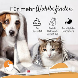 PetVet GmbH PHA DarmPaste zur Unterstützung von Darm und Verdauung für Hunde und Katzen mit Probiotika und Aktivkohle, 15 ml - 15 ml – Bild 1 von 5